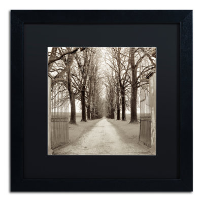 Alan Blaustein " Veneto Giardini I " by Alan Blaustein