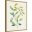 «Wilted Vine I» par Grace Popp, reproduction d'art sur toile encadrée-109561827
