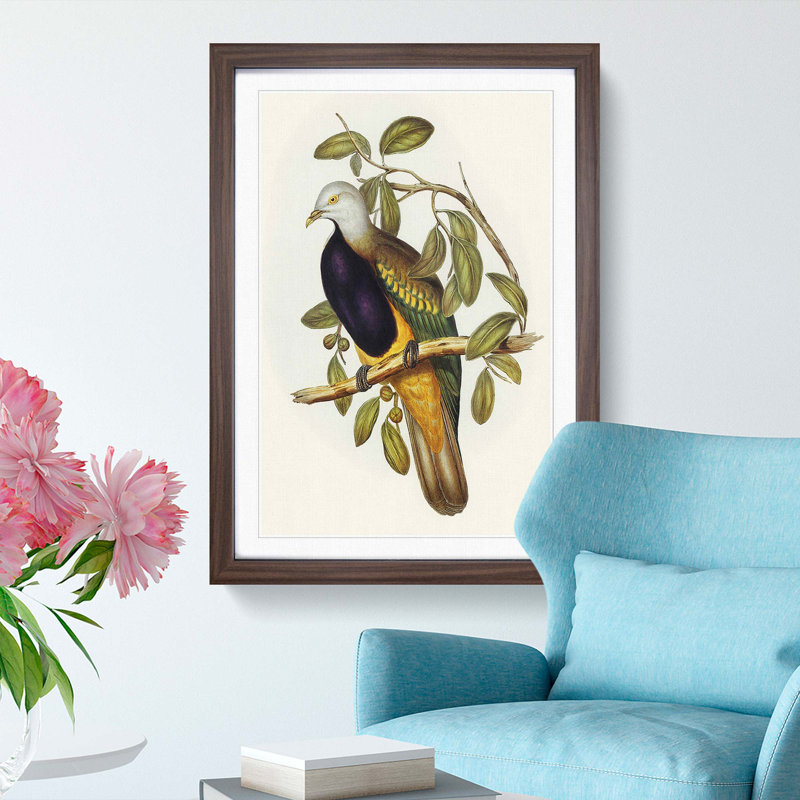 Magnificent Fruit Pigeons by Elizabeth Gould - Framed Print, Walnut Framed, 65cm H x 48cm W x 2cm D