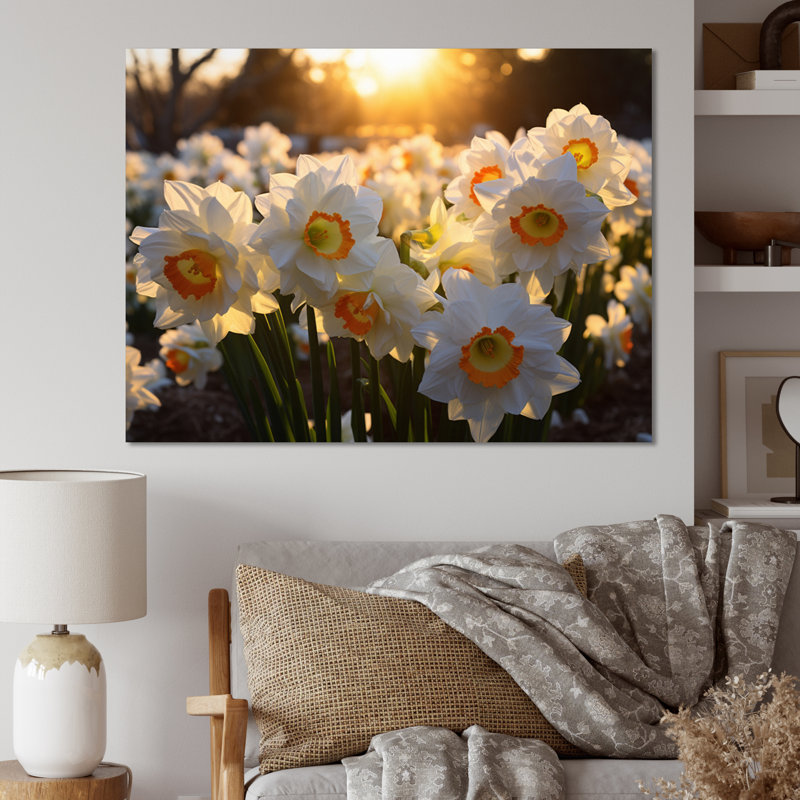 Daffodils Field Sunrise V - Art mural sur toile florale, H 24 po x l 32 po, Toile tendue