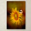 «Tiny Surprise» Vidur, impression sur toile tendue-22071321