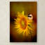 «Tiny Surprise» Vidur, impression sur toile tendue-22071322