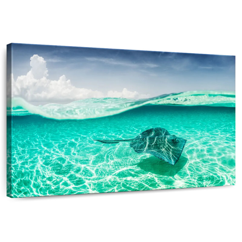 Brampt Manta Ray Underwater, 16" H x 24" W