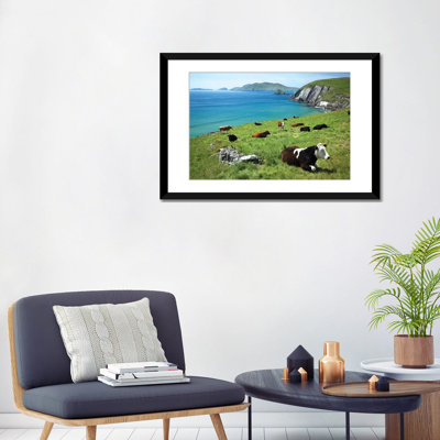« vaches reposer au-dessus de coumeenoole bay dingle péninsule county kerry ireland », reproduction de photo sur toile