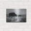 «Lamar Valley Migre» par Lori Deiter-1224507735