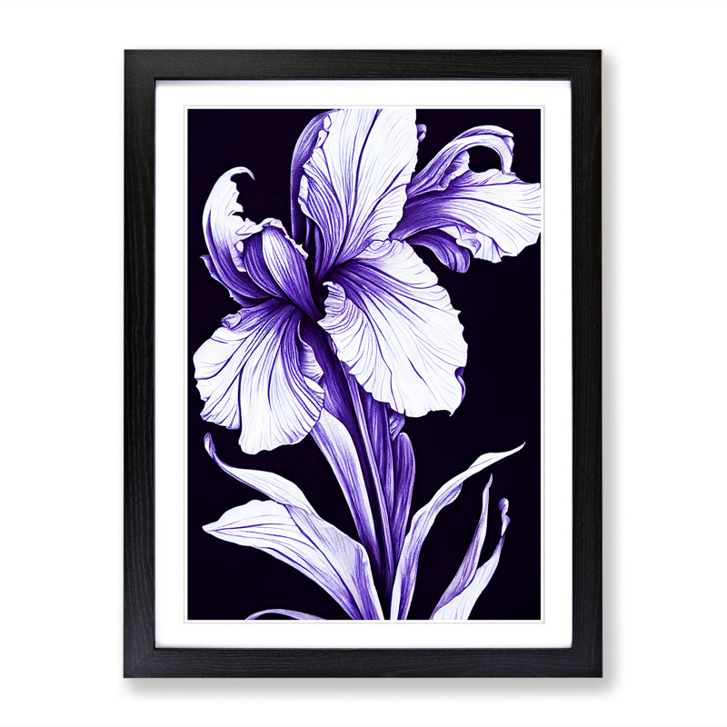 Sheley Iris Flower Gothic - Picture Frame Print, 46cm H x 34cm W x 2cm D, Black