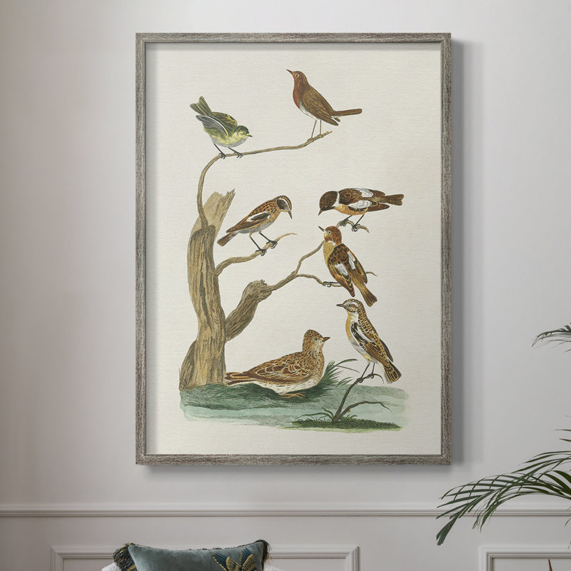 «Antique Birds in Nature III», reproduction encadrée - bois massif, H 21 po x l 17 po