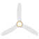 Skylark 3 - Blade Indoor/Outdoor Smart Ceiling Fan with Adjustable CCT 2700K-3000K-4000K-5000K LED Light Kit and Remote Control Included, Works With Alexa and iOS or Android App