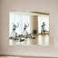 GYM MIROIR 30X48 POUCES - 2 pièces-318150625