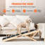 Pet Ramps-253103791