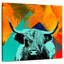Brampt Highland Cow VI-109202967