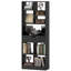 158cm H x 60cm W Standard Bookcase