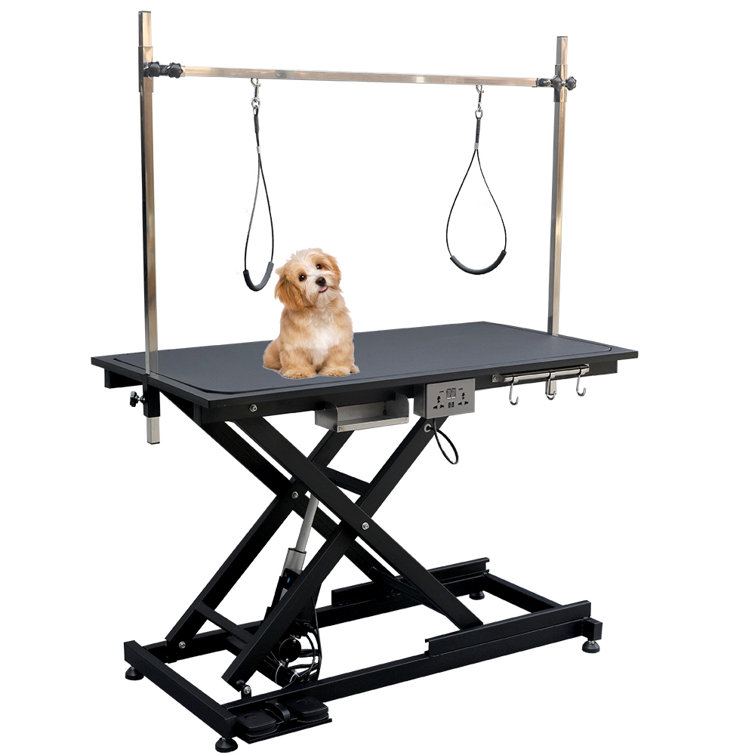 https://assets.wfcdn.com/im/66142383/resize-h755-w755%5Ecompr-r85/2245/224591175/Adjustable+Height+Heavy+Duty+Portable+Pet+Electric+Grooming+Table.jpg
