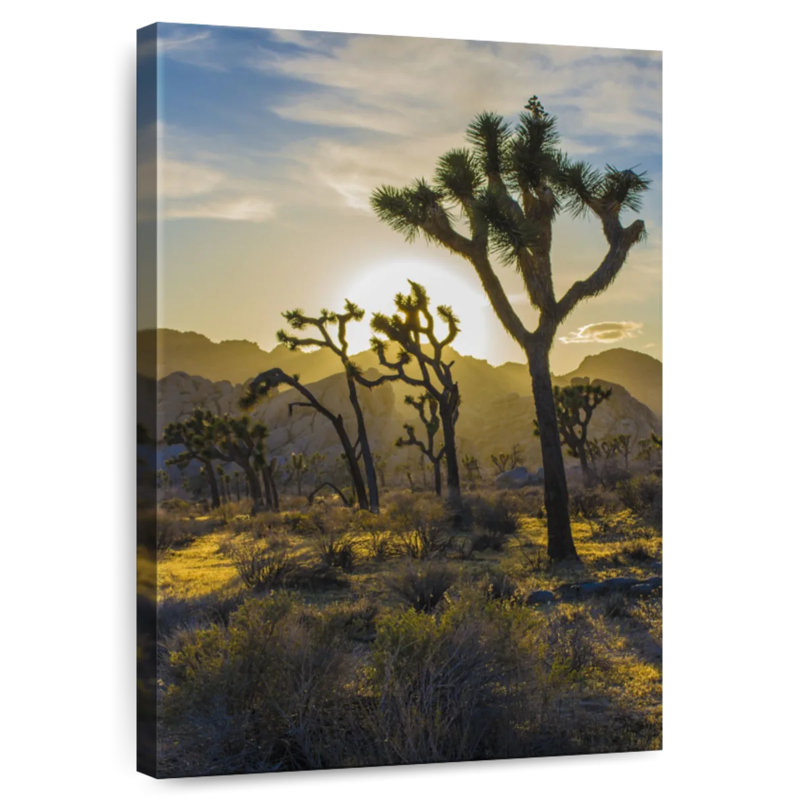 Harnek Joshua Tree Park Desert Field, 12" H x 8" W