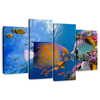Aletra Lively Underwater Life