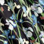 Aamani Eyelet Blackout Curtain