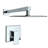 Wall Mounted Shower Faucet(Valve Included)