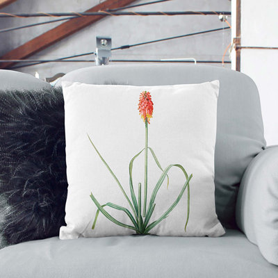 Square Throw Cushion
