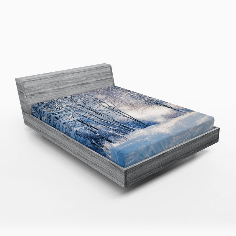 Ensemble de 2 draps-housse Ambesonne Winter, Drap-housse de taille double