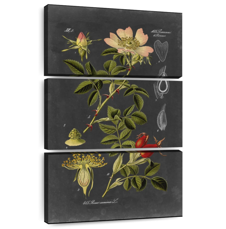 Keiri Midnight Botanical I, 74" H x 48" W