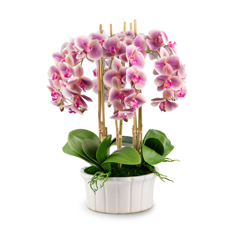 Lugano RealTouch Orchid Arrangement, Periwinkle
