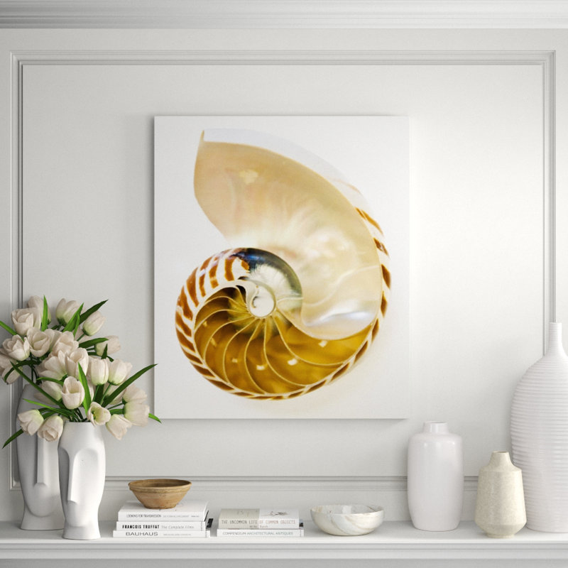 Coastal Objects II Print by Barclay Butera, Matte, 38" H x 30" W x 1.5" D