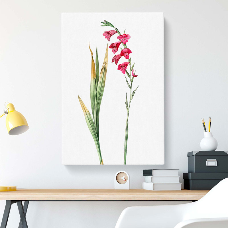 Pink Gladiolus Flowers by Pierre-Joseph Redoute - Wrapped Canvas, 50cm H x 35cm W x 3cm D