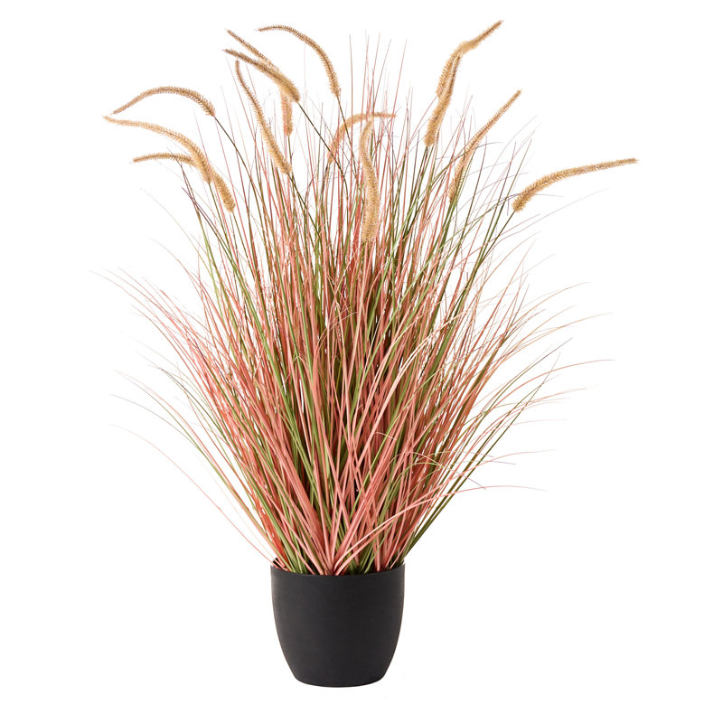 Annleigh Arrangement in Pot