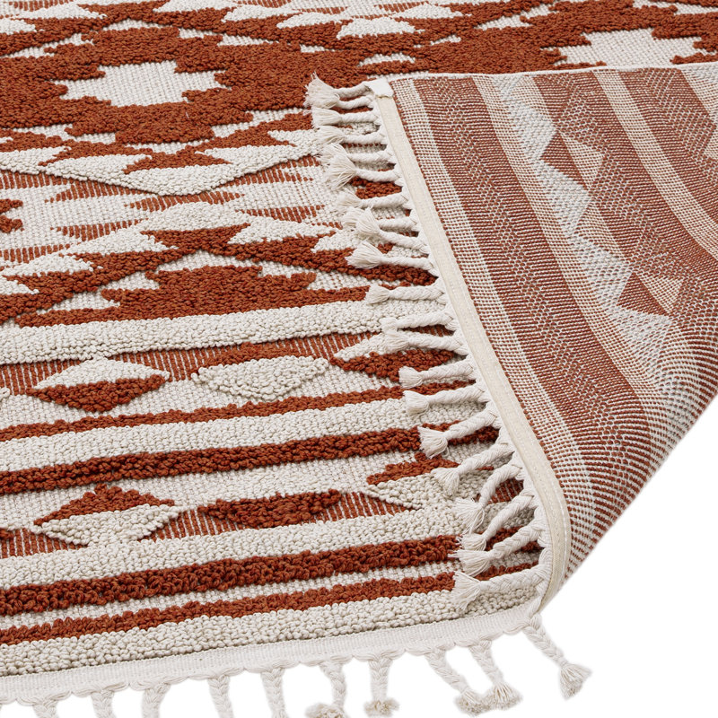 Alisia Southwestern Area Rug, Rectangle 120 x 170cm