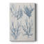 Collection Sea Coral II - galerie Cavas sur mesure
