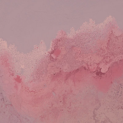 Coral Bloom
