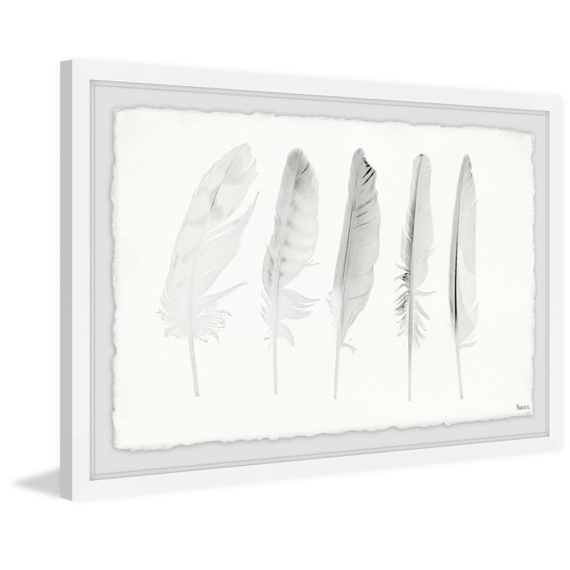 Five White Feathers II by Parvez Taj - 1 Piece Single Picture Frame Wall Art, 20 cm H x 30 cm W x 4 cm D