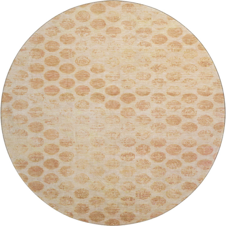 Premium Machine Washable Marasco AMF1642 Geometric Rug