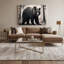 Faune, ours noir américain, art mural sur toile-1170410238