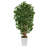 66 " H Faux Olive Tree