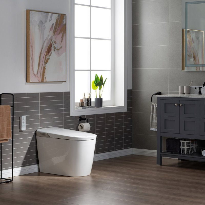 White Elongated One-Piece Smart Bidet Toilet with Dual Flush