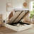 Balynda Upholstered Storage Platform Bed-69225901-69225896