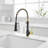 FLG Pull Down Kitchen Faucet