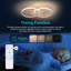 Aarondeep 2-Light 55Cm Ceiling Light-610018901-610025031