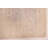 Elysian Ivory Rug 8'0" x 10'0"