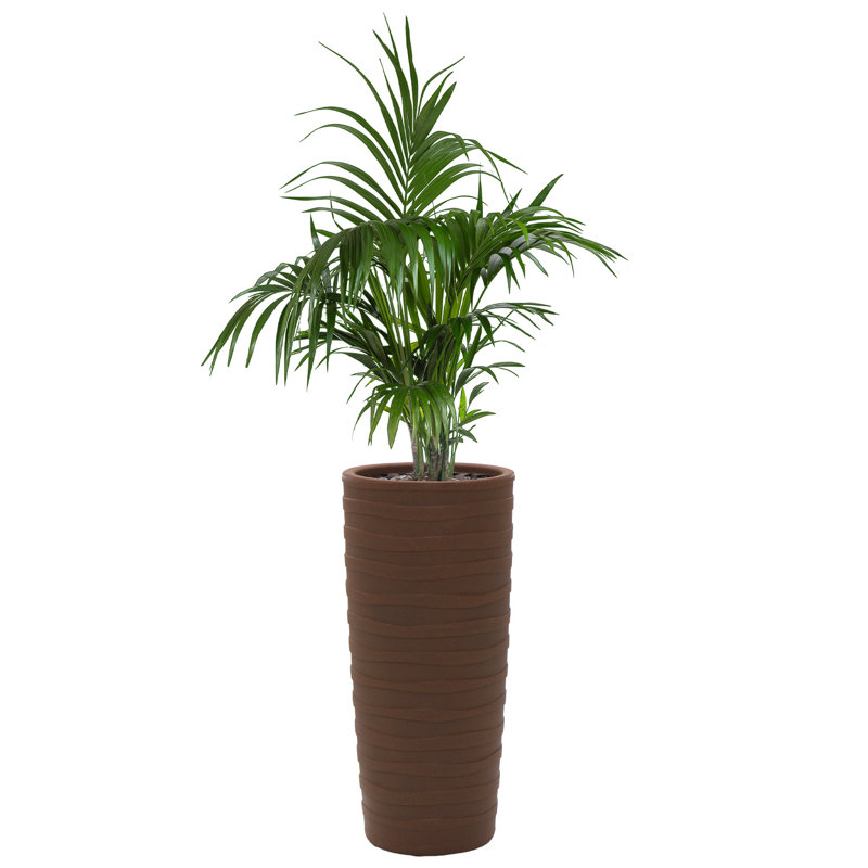 Pot Planter, Terracotta
