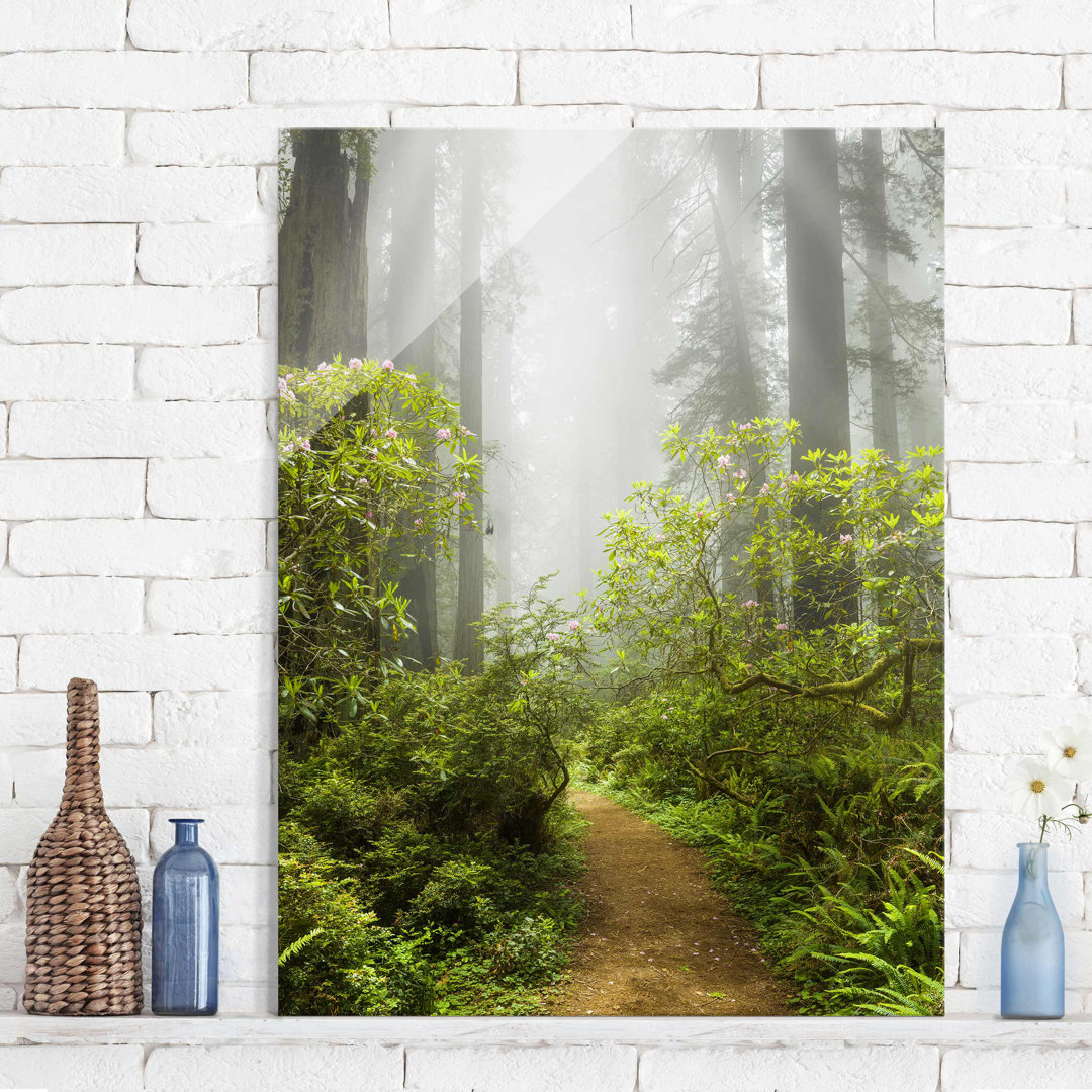 Glasbild Nebliger Waldweg