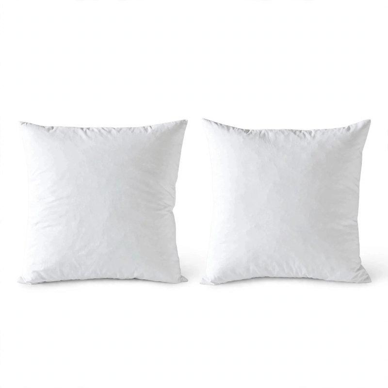  Ensemble de 2 coussins décoratifs 100% coton plumes de duvet 26 po x 26 po (ensemble de 2), H 26 po x l 26 po