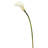 Cauldwell 26" Artificial Calla Lily Stem-1147543807