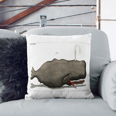 Square Throw Cushion