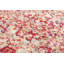 Tapis rouge-1443339015