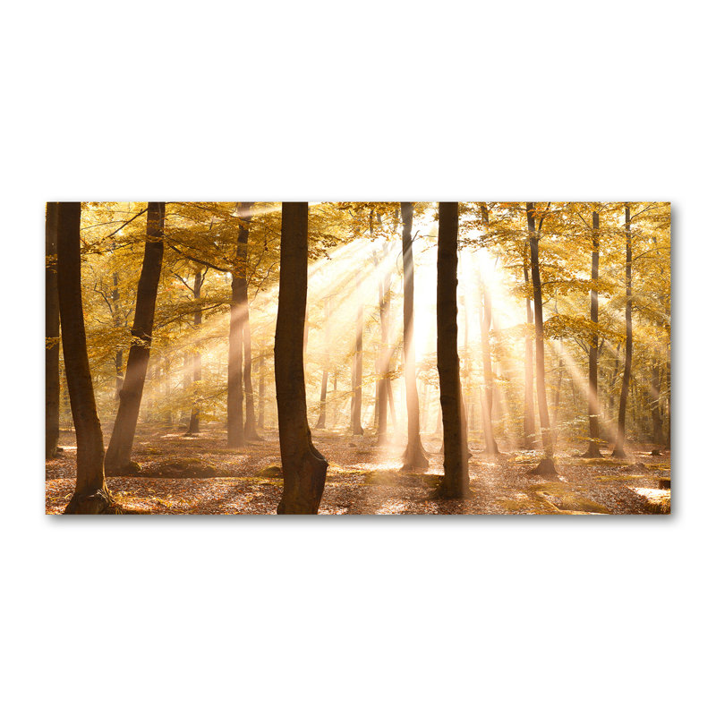Autumn Forest - Wrapped Canvas Print