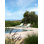 Plano Outdoor Chaise Lounge