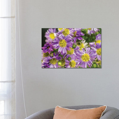Purple Flowers In The Garden by Glauco Meneghelli - Wrapped Canvas Print