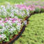 5 cm H Plastic Lawn Edging Fencing-125152826-125152830